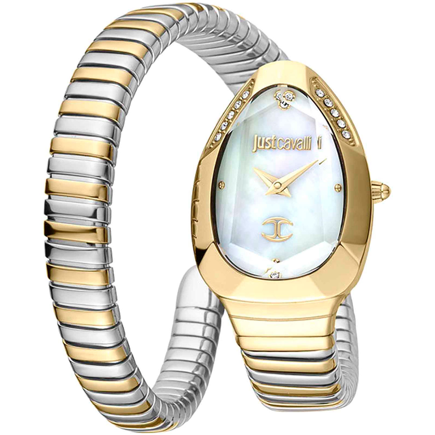 Часы Just Cavalli Snake JC1L208M0065